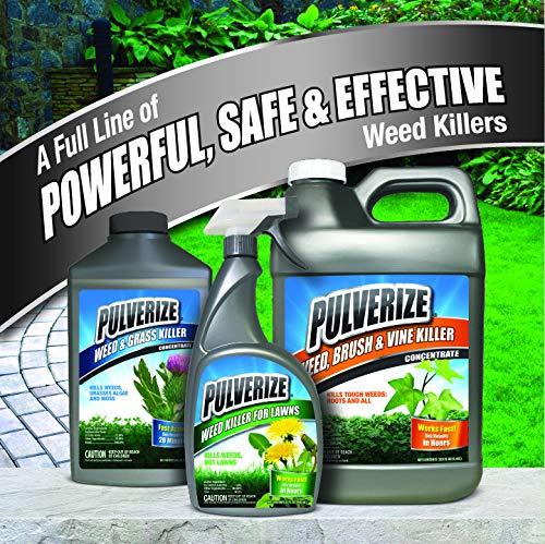 Regine Switzerland Weed and Grass Killer Spray - Fast-Acting, Non-Staining Herbicide - Kid & Pet Safe - 1 Gallon