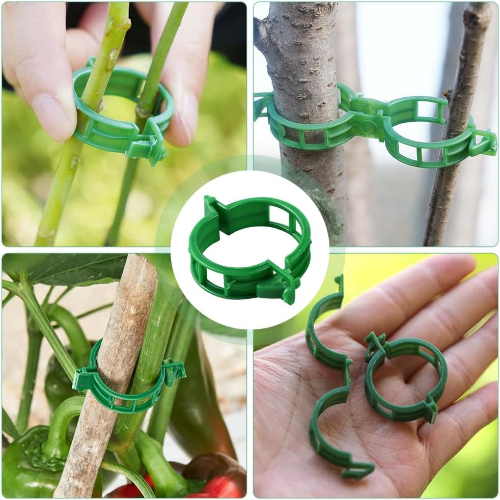 Secured Plastic Plant Clip - Reusable Support Clips for Climbing Plants & Vegetables (50 Pack, Green)