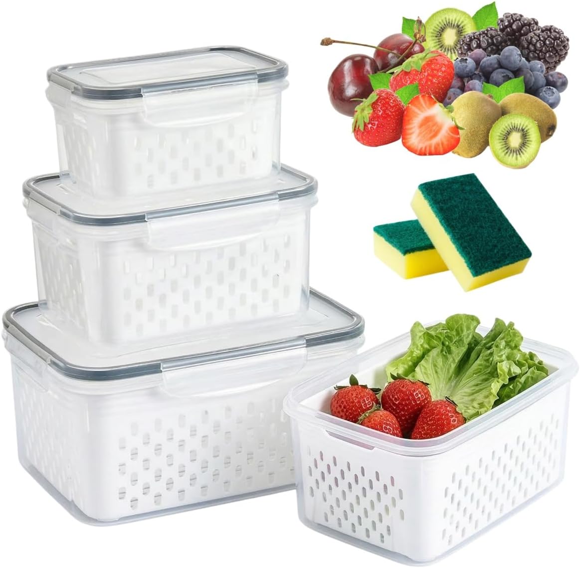 Skiennix Fruit Storage Containers - Transparent Plastic Box with Removable Colander | Keeps Berries Fresh (Large)