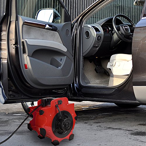 Heavy-Duty 3-Speed Floor & Carpet Dryer Fan - 1600W Portable Air Mover