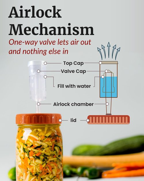 Elementi Mason Jar Fermentation Lids - Easy to Use Fermenting Lids for Wide Mouth Mason Jars - Make Delicious Sauerkraut & Kimchi, Airlocks Fermentation Kit, Burping Air Lock Fermenters - Set of 4