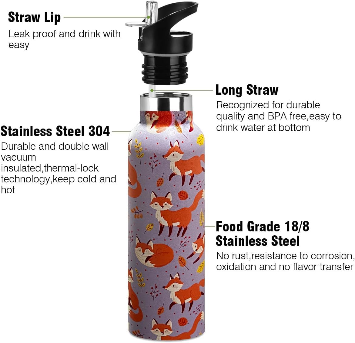 Skiennix Kids Water Bottle - Vacuum Insulated Stainless Steel Tumbler with Straw | 20 oz Fox Design for Sports & School