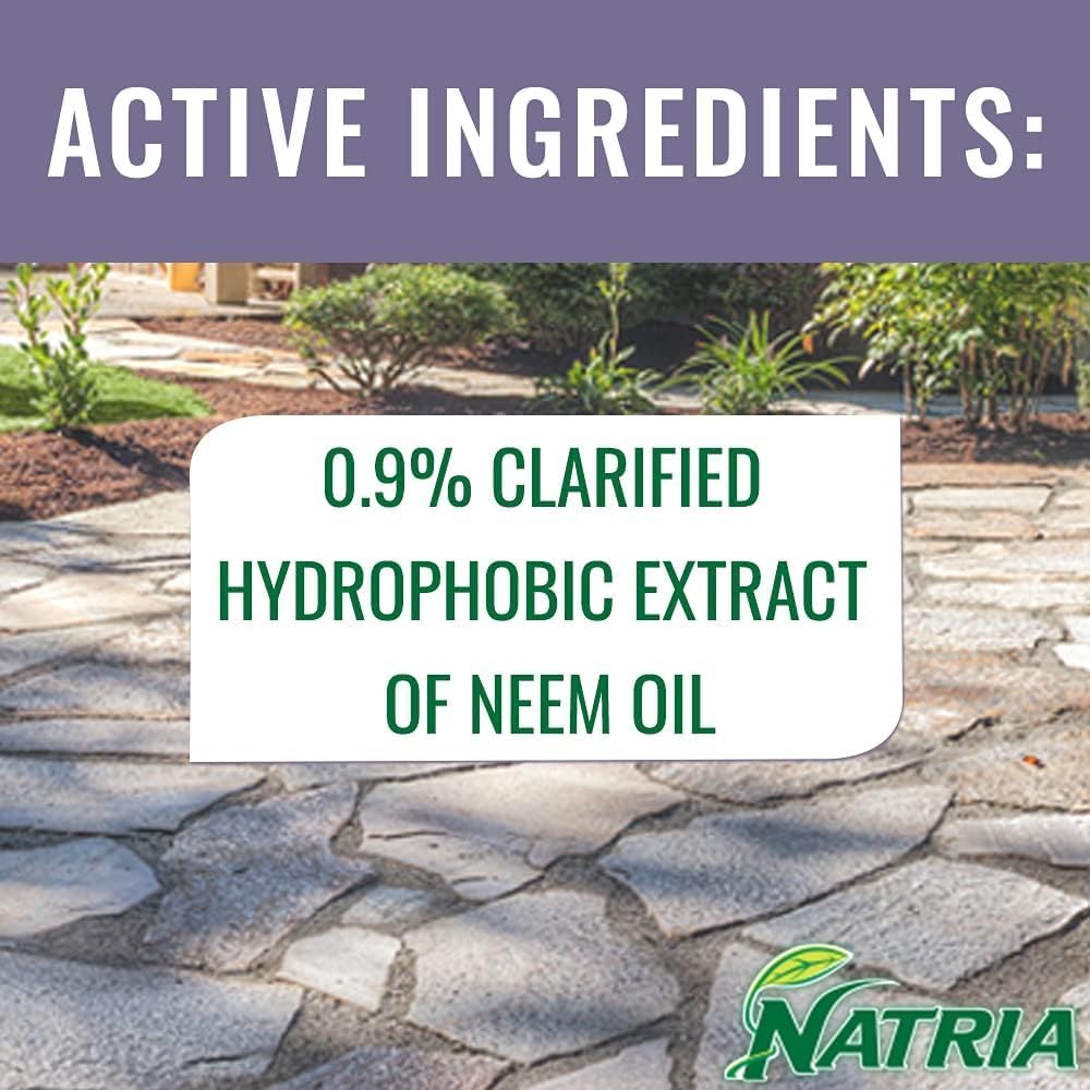 Natria Neem Oil Spray - Ready-to-Use Pest & Disease Control for Houseplants | 24 oz Bottle