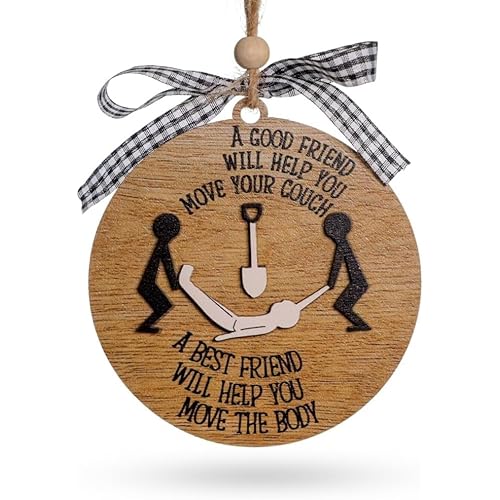 Funny Best Friend Christmas Ornaments, Dark Humor Friendship Gifts, Naughty Christmas Ornaments for Besties, Unique Good Friend Gifts, Friend for Birthday