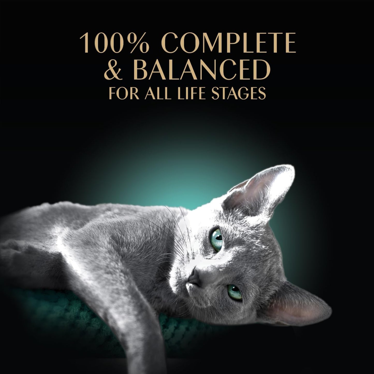 Sheba Perfect Portions Wet Cat Food - Roasted Chicken & Tender Turkey Entrees | 2.6 oz Twin-Pack (24 Trays)