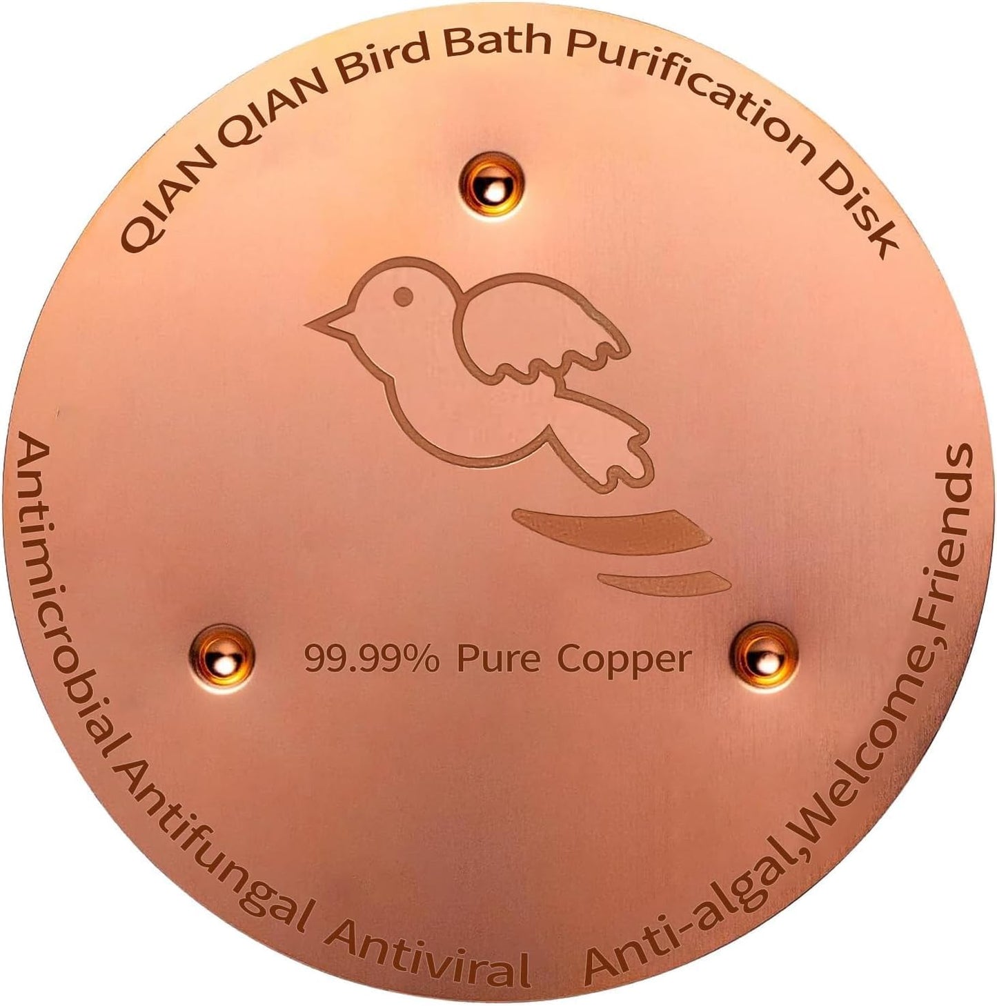 Skiennix Copper Bird Bath Purification Disk - Triple-Point Support for Clean Water | Universal Fit
