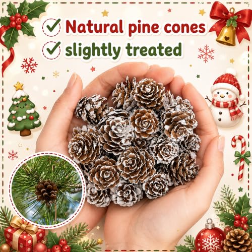 Snow 220 Pcs Christmas Mini Pine Cones Natural Snow Effect Decor - Small Xmas Craft Supplies