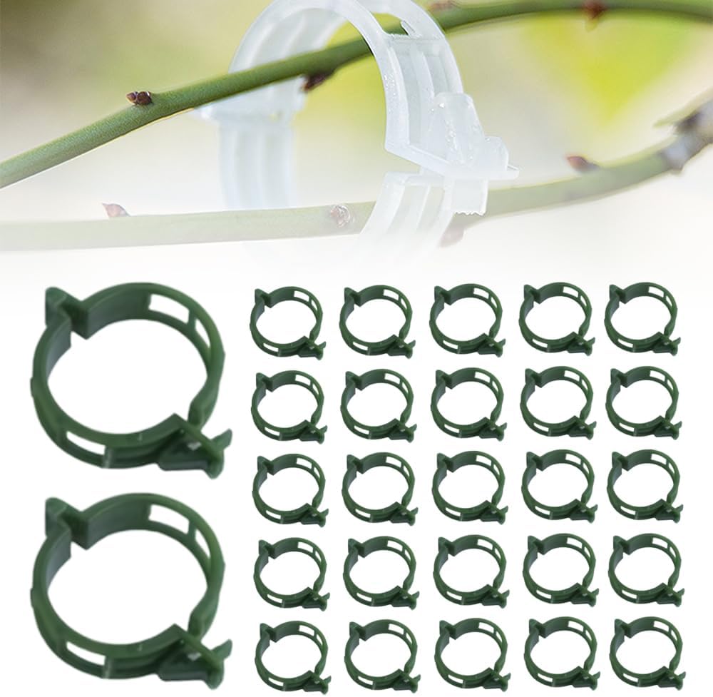 Skiennix Plant Support Clips - Reusable Plastic Clips for Climbing Plants | 50 Green Tomato Clips