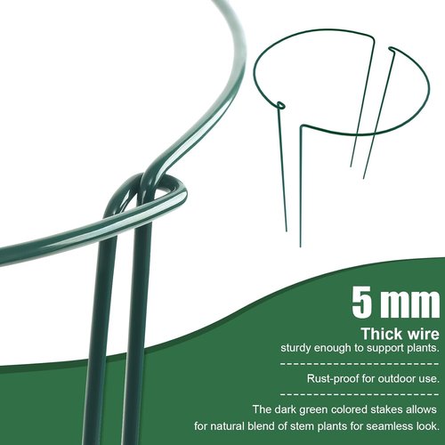 Feed Garden Plant Support Stakes - 6 Pack Metal Peony Cages | 10" Wide x 16" High Green Rings for Tomatoes & Hydrangeas