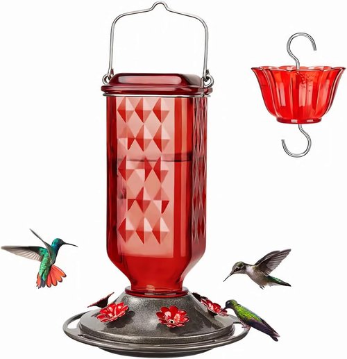 Hummingbird Feeder - Leak Proof Glass Design with Ant Moat & Bee Guard | 6 Metal Feeding Ports for Easy Cleaning