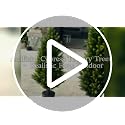 Artificial Cedar Topiary Trees - 3Ft Green Ground Spike Shrubs, 2-Pack, UV Resistant for Indoor & Outdoor Decor - Variation: Green Ground Spike Cedar-2pcs / 3FT