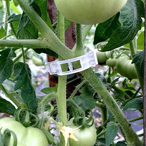 KINGLAKE Plant Support Clips - 200 Pcs Tomato Vine Trellis Clips for Healthy Upright Growth