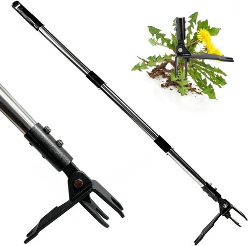 Heavy Duty Weed Puller Tool by [Brand Name] - Stand Up Weeder with Long Stainless Steel Handle & 4-Claw Head