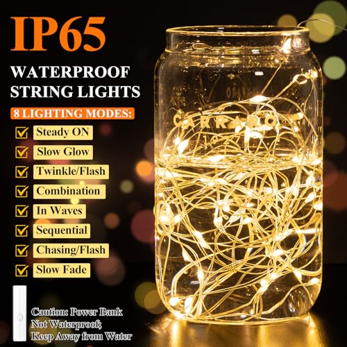 Lakumu LED Fairy Lights Battery Operated, Rechargeable Twinkle Lights with Timer, Mini LED String Lights for Bedroom, Christmas Decorations, Wedding, Centerpiece Table Decor (5M/16FT Warm White)