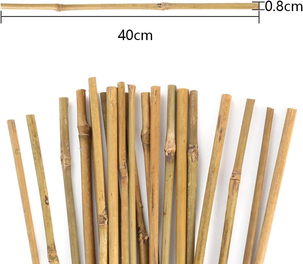 Pllieay Natural Bamboo Garden Stakes - 20PC 16-Inch Plant Support for Indoor/Outdoor Use