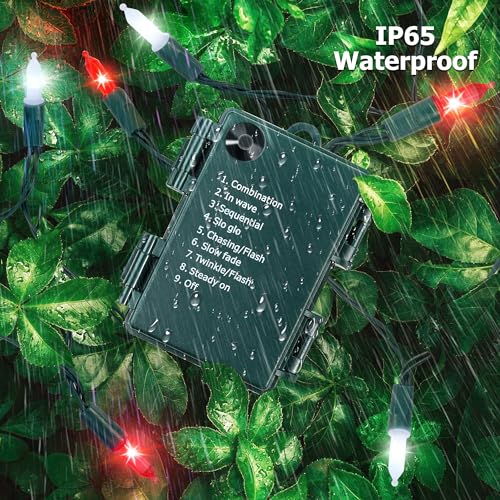 2 Pack Christmas String Lights with Built-in Timer - Total 100 LED 36ft Fairy Battery String Lights - Mini Lighting for Indoor Decor Wreath Lawn Bedroom Christmas Decorations - Red White Green