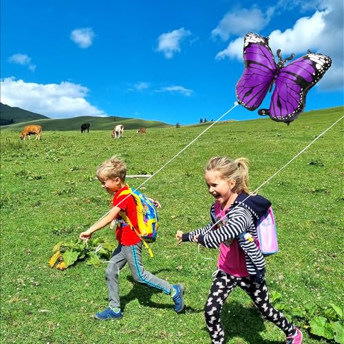 Purple Charming 4 Pack Butterfly Party Balloons, 28 Inches Girls Fairy Wings Butterfly Themed Helium Foil Aluminum Balloon For Wedding, Baby Shower, Birthday Party Decorations
