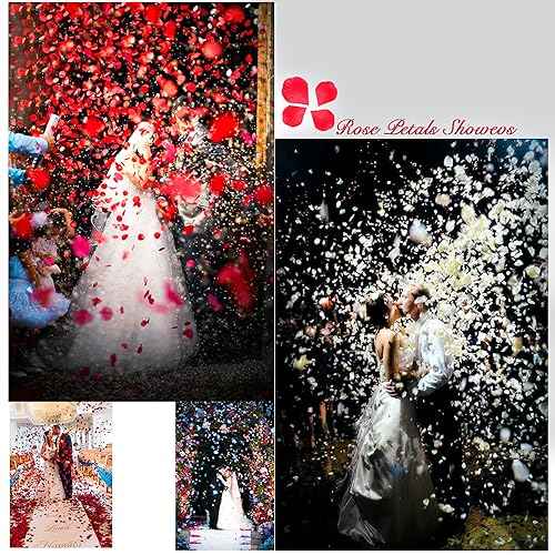 1000Pieces Rose Petals, Artificial Flower Petals Fake Rose Petals for Romantic Night,Wedding,Proposal Anniversary Flower Decorations (Rose Red)