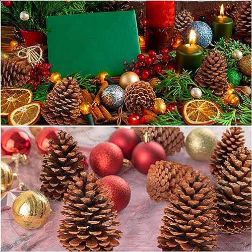 Huwena 6 Pcs Large 6-7 Inch Natural Pine Cones Unscented