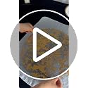 Black Gold Disposable Placemats 13 Inch - 100 Pack Metallic Foil Doilies for Christmas & Party Tables (Zulaniu)
