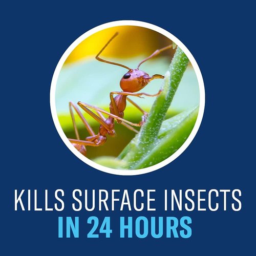 BioAdvanced Insect Killer - Complete Soil & Turf Solution | Ready-to-Spray 32 oz for Outdoor Ant Control
