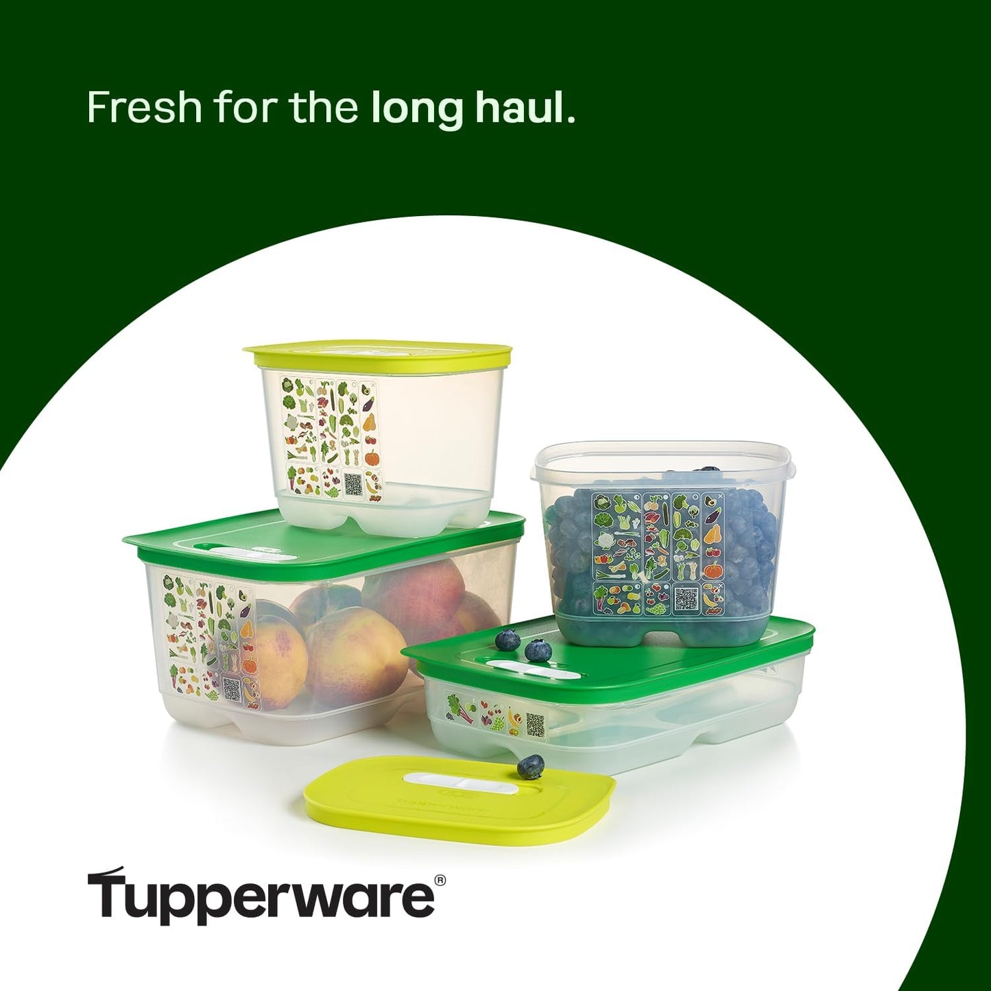 Tupperware Fridgesmart Food Storage Container Set - 4 BPA-Free & Dishwasher Safe Containers with Lids