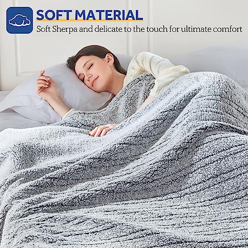 Sealy Twin Size Electric Blanket with Sherpa Cover, 10 Heat Settings, Charcoal