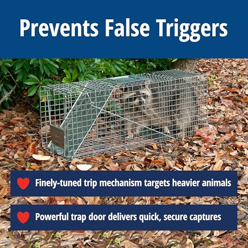 Large Humane Animal Trap for Raccoons Cats and More - Heavy Duty Steel
