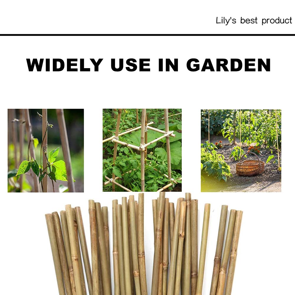 HOPELF 50 Pack 2ft Bamboo Plant Stakes for Wood Garden Sticks，Wooden Plant Supports，Bamboos，Bamboo Trellis，Crafts, More Size Choices 8"/12"/16"//2'/3'/4'/5'/6'