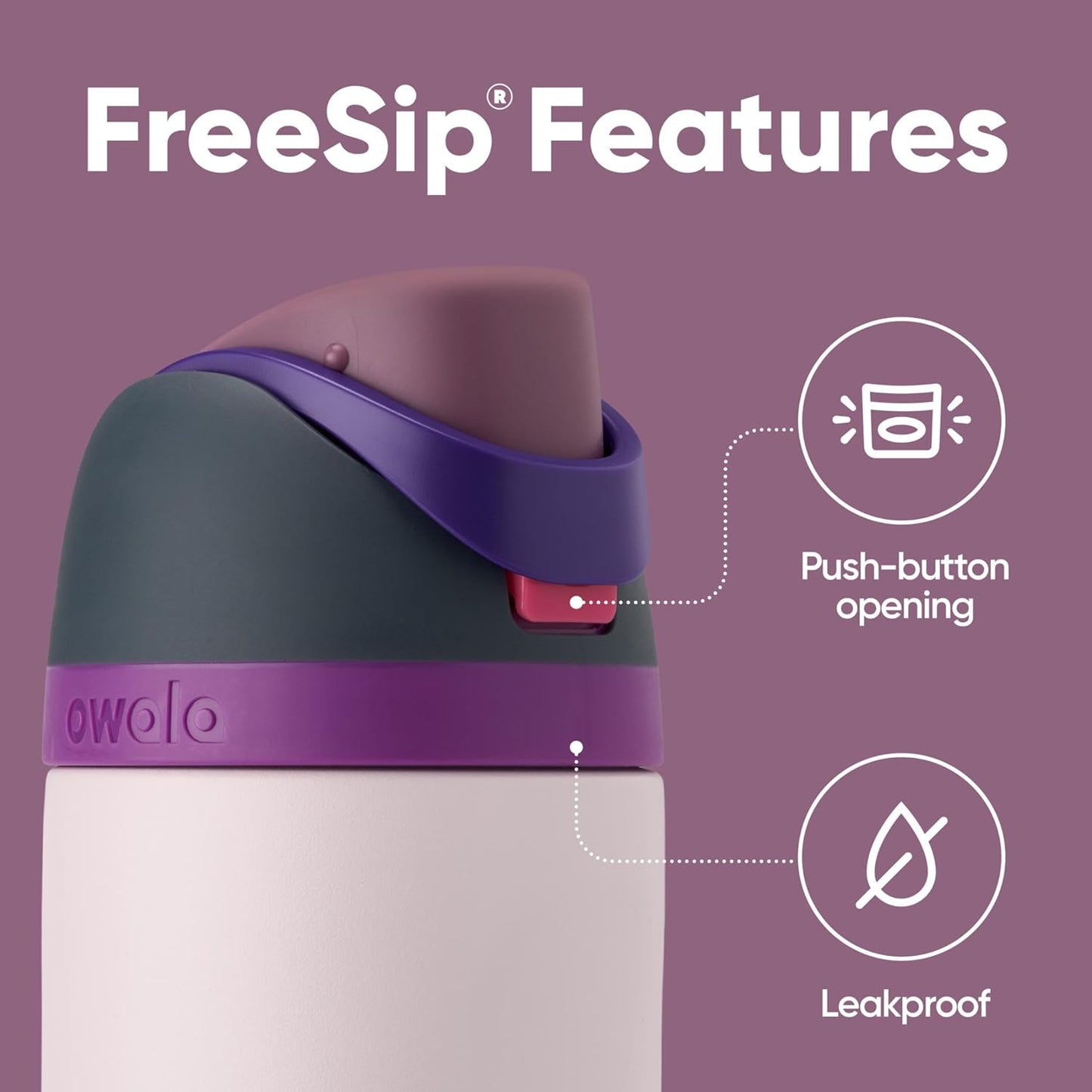 Owala FreeSip Insulated Stainless Steel Water Bottle - BPA-Free 24 oz with Straw | Dreamy Field Design