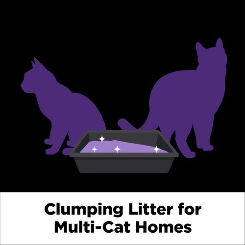 ARM & HAMMER Clump & Seal SLIDE Platinum Cat Litter - Easy Clean Technology & 14-Day Odor Control, 18 lbs