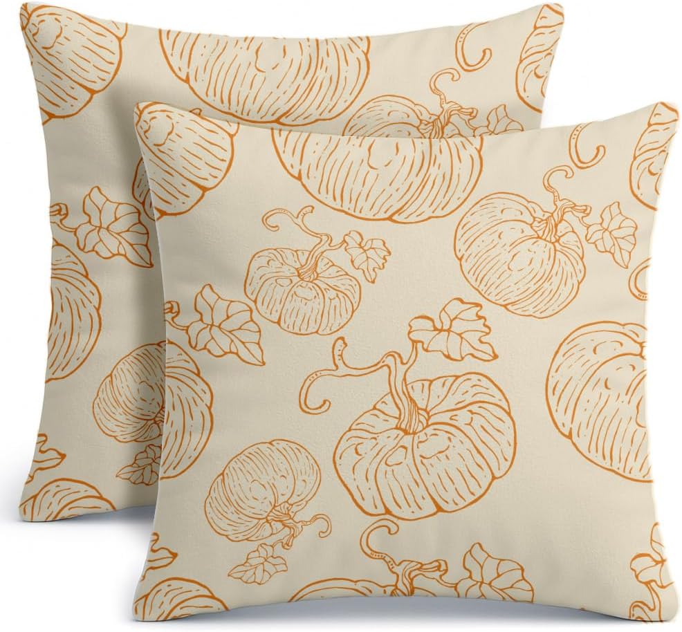 Regine Switzerland Fall Pumpkin Pillow Covers - 18x18 Burnt Orange Farmhouse Decor for Halloween & Thanksgiving