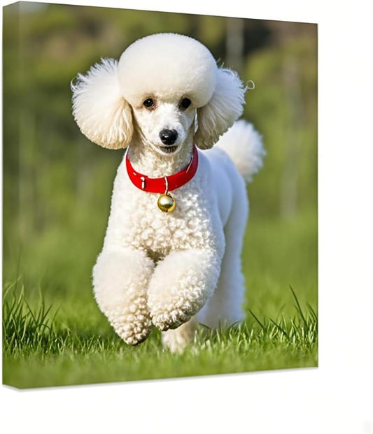 Skiennix Personalized Canvas Print - Custom Wall Art for Bedroom & Living Room | 24" W x 36" H