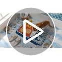 TRUEDAYS Blue Sardine Bath Mat 20x30 Inch Non-Slip Microfiber Rug