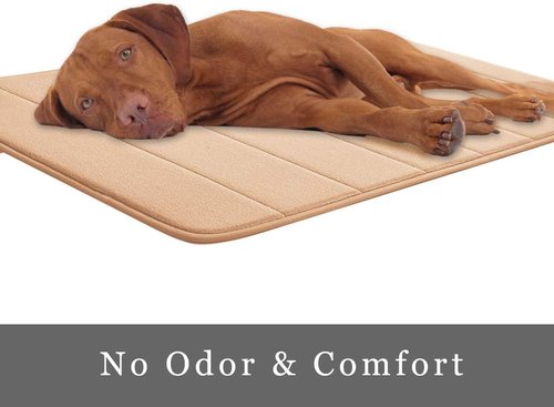 JMTOOR Memory Foam Bath Mat - Super Soft Coral Velvet | Non-Slip, Rapid Water Absorption, 17" x 24", Beige