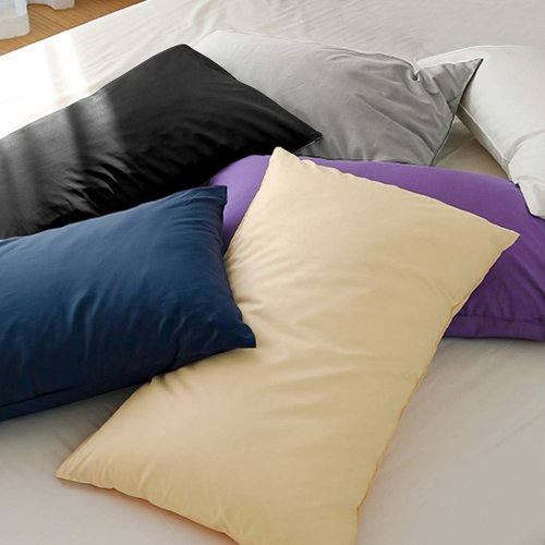 FLXXIE Pillow Cases - Soft Microfiber Queen Pillow Covers with Envelope Closure | 2-Piece Set, Light Grey 20x30