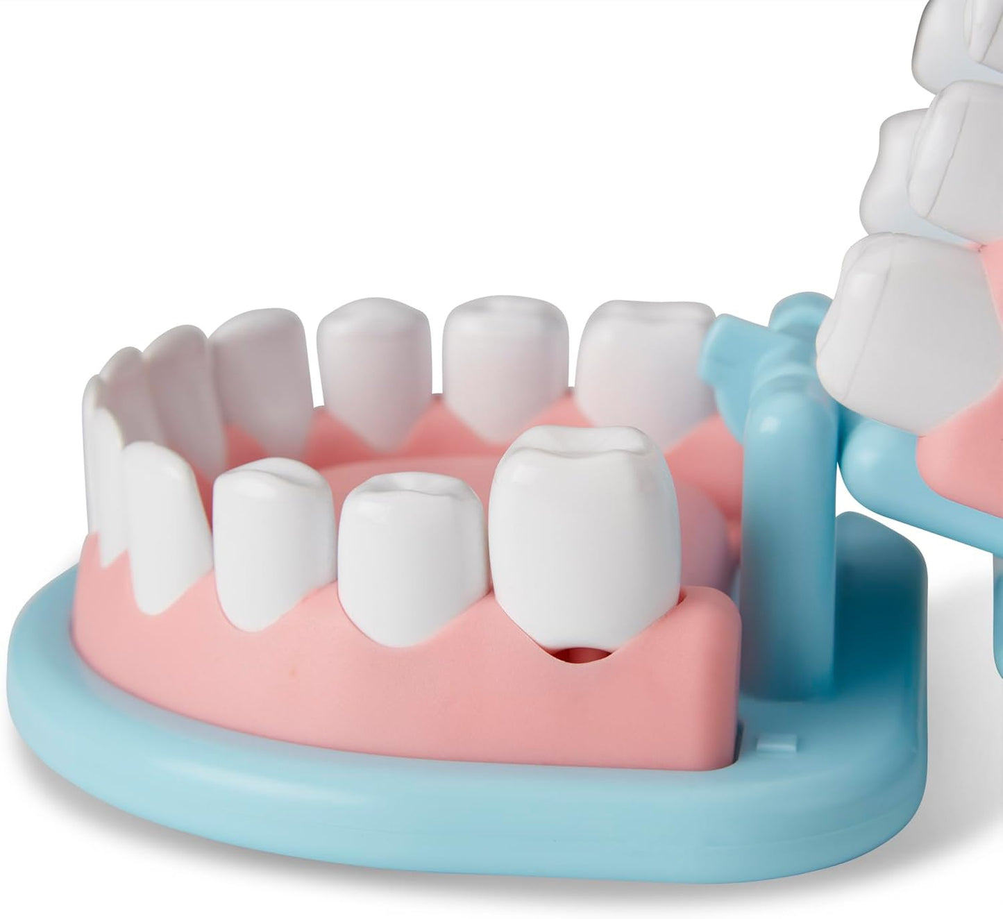 Melissa & Doug Dentist Play Set - 25-Piece Super Smile Kit with Oversized Teeth & Tools for Kids 3+