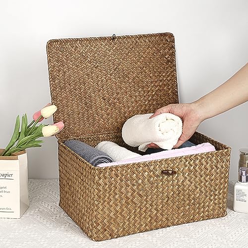 Hipiwe Wicker Shelf Baskets Bin with Lid Woven Storage Box, Coffee