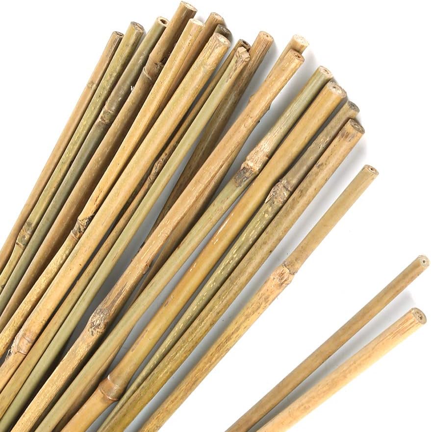 Pllieay Bamboo Garden Stakes - 20PC Natural Plant Support for Indoor/Outdoor Potted Plants | 16 Inch