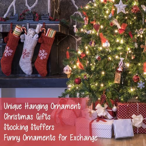 ROCI Dinosaur Christmas Ornaments - T-Rex Acrylic Holiday Decorations, Funny Gag Gift