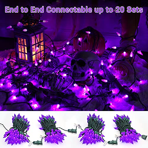 Brizled Purple Halloween Outdoor String Lights, 33 ft, 100 C5 LED (Purple)
