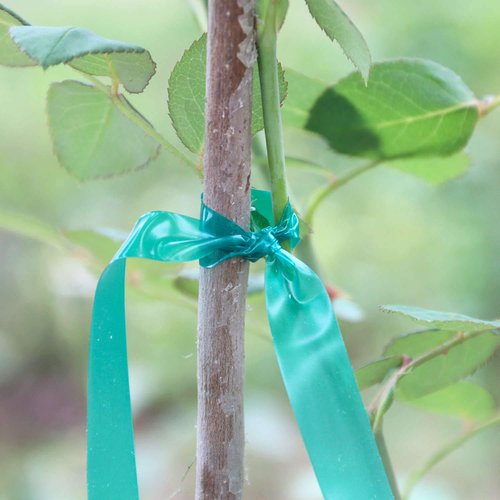 Easytle Stretch Tie Tape Roll - 1/2" x 150ft Garden Tie Tape for Sturdy Plant Support | Green Vinyl Gardening Tool