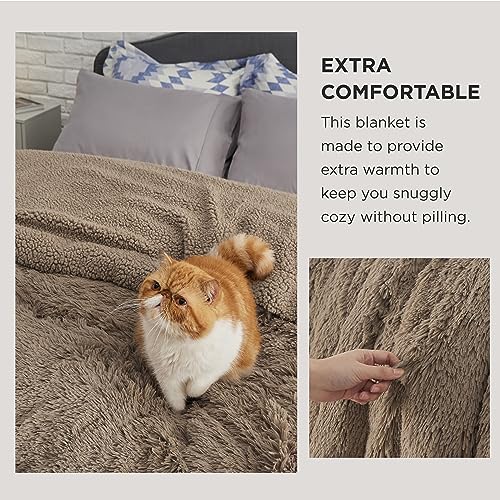Bedsure Twin Brown Faux Fur Sherpa Throw Blanket 60x80 Inches, Fluffy Couch Blanket