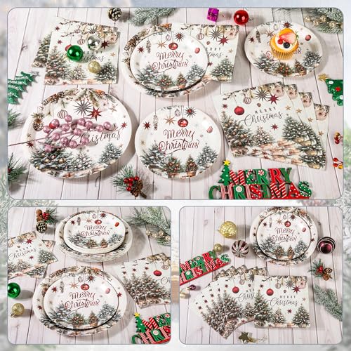 Retro Christmas Farmhouse Dinnerware Set for Holiday Party, Serves 50