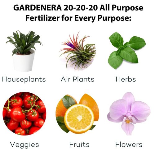 GARDENERA Premium 20-20-20 All-Purpose Water-Soluble Fertilizer - Boosts Plant Growth & Leaf Color - 1 Quart