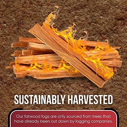 Fatwood Fire Starter Sticks - 10 lb Natural Kindling for Campfires & Fireplaces - Dependable Rapid Ignition