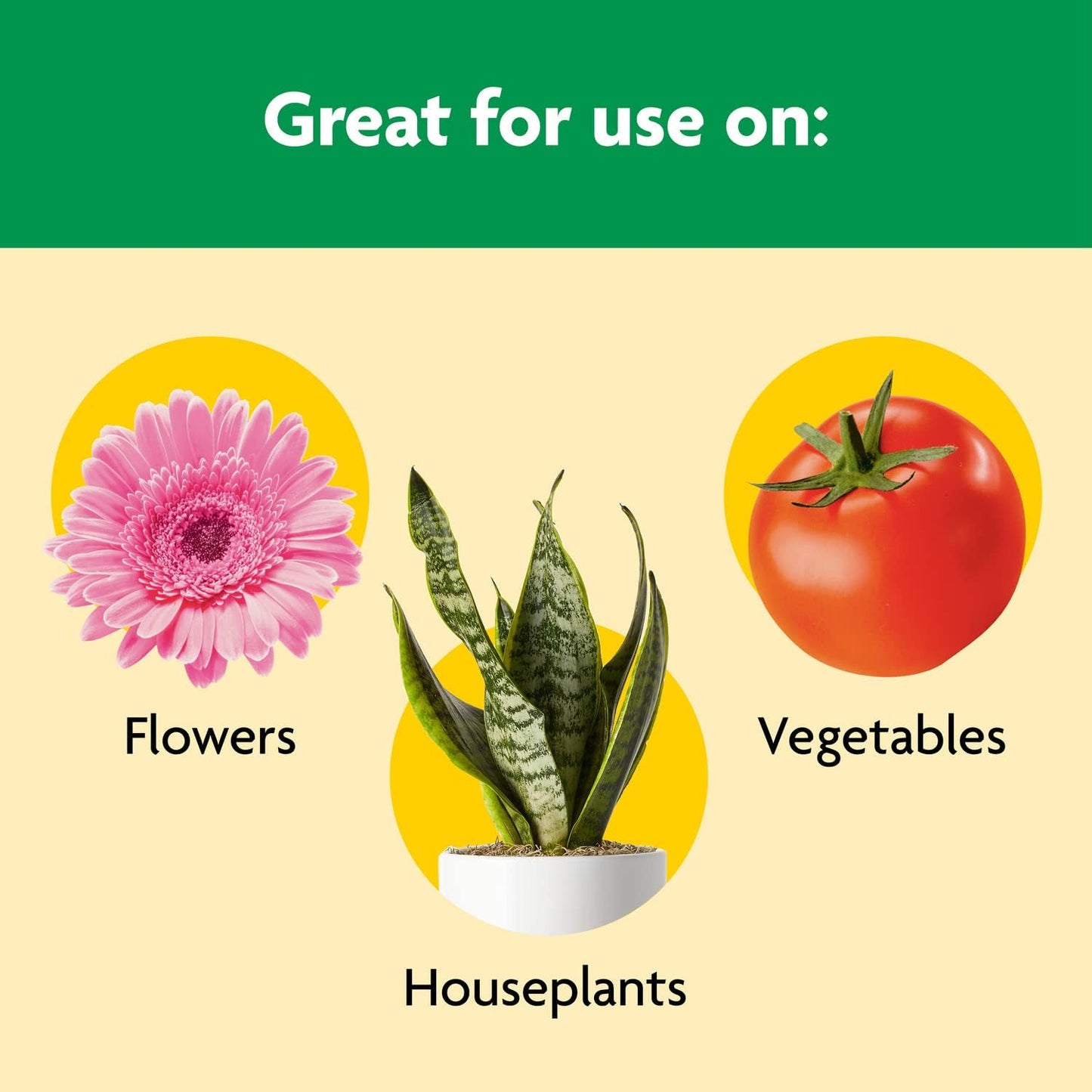 Miracle-Gro Shake 'N Feed All Purpose Plant Food - Feeds Indoor & Outdoor Plants for 3 Months, 1 lb.