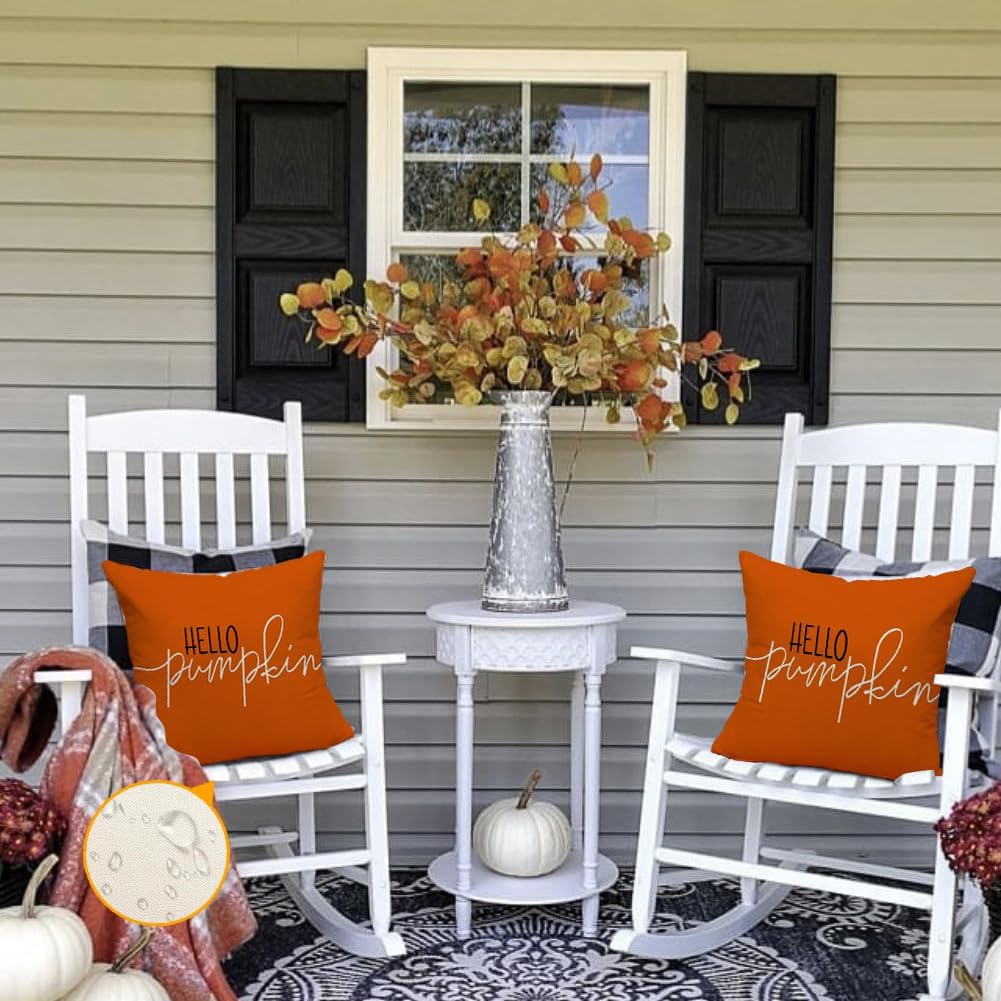 RABUSOFA Fall Pillow Covers - 18x18 Inch Waterproof Rust Hello Pumpkin Design | Autumn Harvest Decor