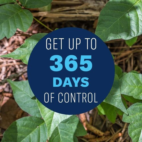 BioAdvanced Brush Killer Spray - Effective Bamboo & Poison Ivy Control - Ready-to-Use 1 Gallon