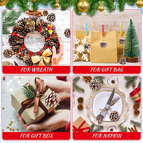 100 Pcs Christmas Pine Cone Ornaments Snowy Rustic Holiday Decor